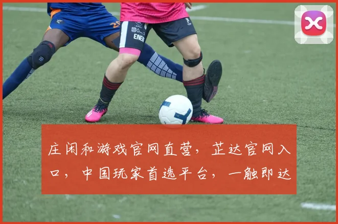 庄闲和游戏官网直营，芷达官网入口，中国玩家首选平台，一触即达